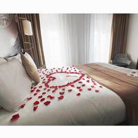 Mercure Lyon Beaux-Arts 