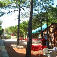 Camping Ilha de Tavira 