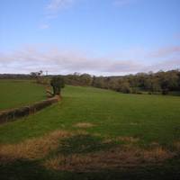 Willowbrook Guesthouse 