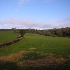 Willowbrook Guesthouse 