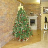 Hotel Francisco Javier 