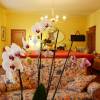 Antica Cittadella B&B 