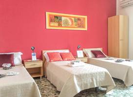 Actinia Accommodation 