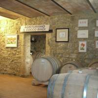 Agriturismo Il Cocco 