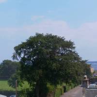 Stonelee Guest House 