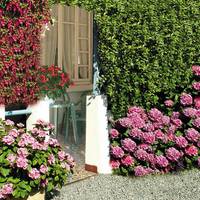 Hotel Saint Contard 
