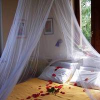 Villa Del Pino B&B 