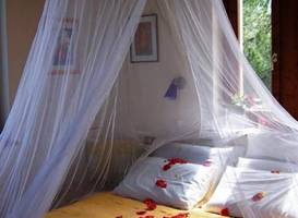 Villa Del Pino B&B 