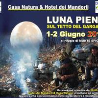 Hotel dei Mandorli 