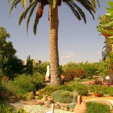 Villa dei Giardini 
