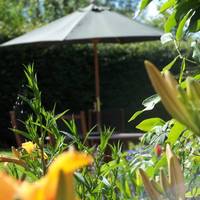 Balmuirfield House Bed and Breakfast