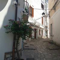Florenza Residence 