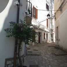Florenza Residence 