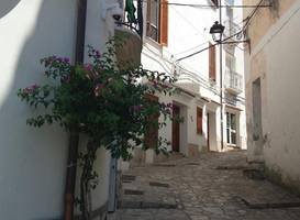 Florenza Residence 