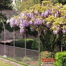 B&B Entro Le Mura 