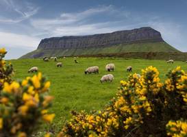 Benbulben Suites 