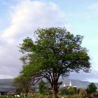 Hillview Cottage 