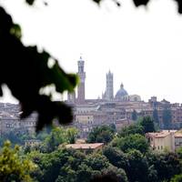 Podere La Strega 