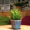 Haggis Hostels 