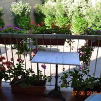 Albergo Cinzia 