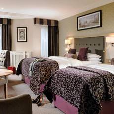 Newpark Hotel 