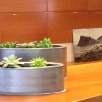 Hotel Teremar 