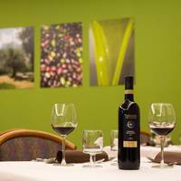 Hotel Brione 