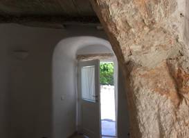 Trullidea 