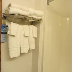 Microtel Inn & Suites by Wyndham Springfield 