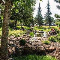 University of Alberta - Accommodation 