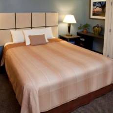 Candlewood Suites Chicago - O'Hare 