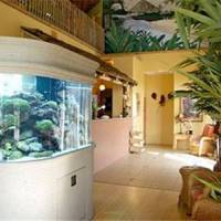 Wakulla Two Bedroom Suites Resort 