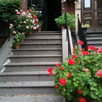 Beacon Hill Bed and Breakfast 