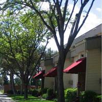 Bond Street Motel Apartments 