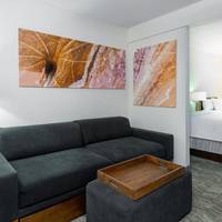 SpringHill Suites Asheville 