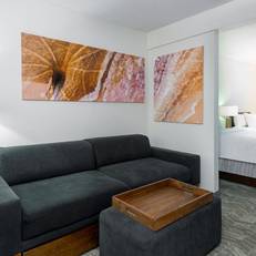 SpringHill Suites Asheville 