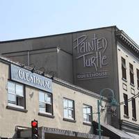 Painted Turtle Guesthouse 