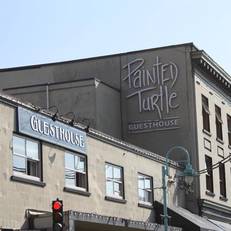 Painted Turtle Guesthouse 