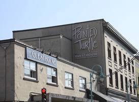 Painted Turtle Guesthouse 