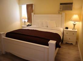 Hollywood Celebrity Hotel 