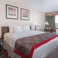 Albany Ramada Plaza Hotel 