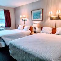 Stowe Motel & Snowdrift 