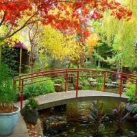 Dinah's Garden Hotel 