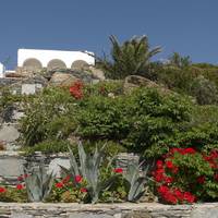 Mykonos View Hotel 