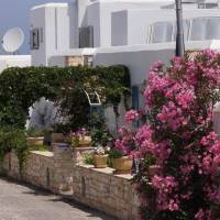 Alexandros Studios 