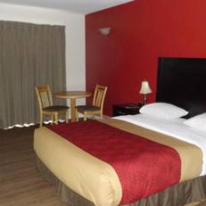 Econolodge Vernon 