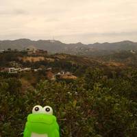 Grafton on Sunset 