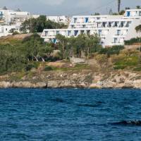 Hippocampus Hotel 