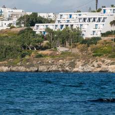 Hippocampus Hotel 