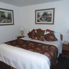 El Palomino Motel 
